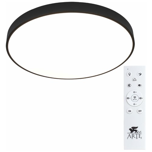    Arte Lamp Arena A2673PL-1BK 12490