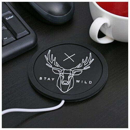 Like me    USB Stay wild,  , 10 x 10  481