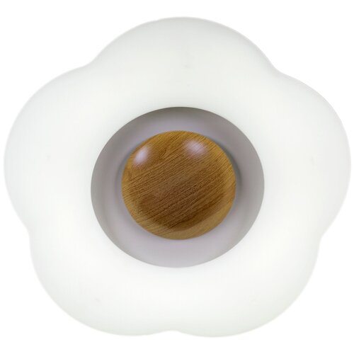   Reluce LED 2*49W 01014-0.3-01 WOOD 4230