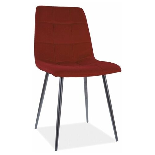 ���� SIGNAL MILA MATT VELVET, �������� 4210�