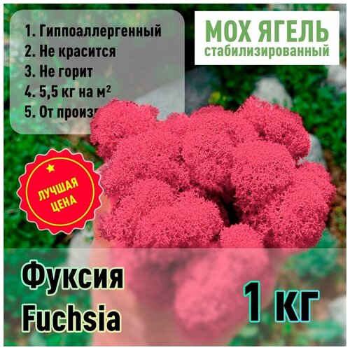   , Russian Moss, , 1  1999