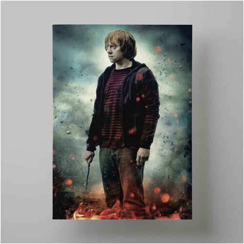    , Harry Potter 3040 ,    ,  590   