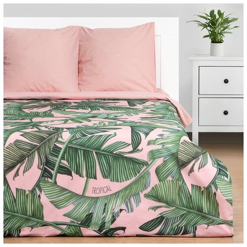 ���������� ����� ����� 1.5 �� Tropical 143�215 ��, 150�214 ��, 70�70 �� - 2 �� ����� 7674473 2470�