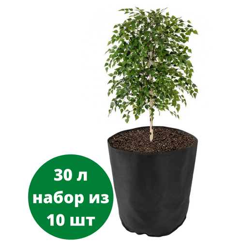     Bag Pot Eco 30 ,   10  1815