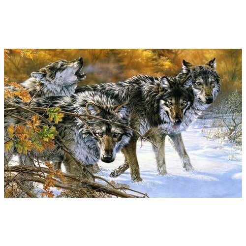     (Wolves) 1 48. x 30. 1410