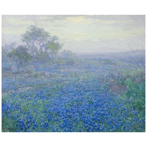     , Bluebonnets  -,     61. x 50. 2300