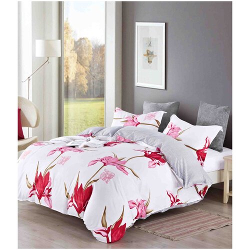 ���������� ����� �� ����������� TANGO DREAM FLY DF-258-50 50�70 (2��) �������� 2814�