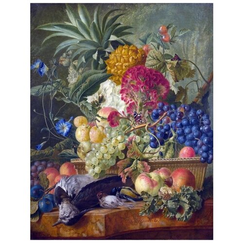   ,     (Fruit, Flowers and Dead Birds)   30. x 39. 1210
