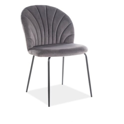 ���� SIGNAL LOLA VELVET, ����� / ����� ������, ��.72 8680�