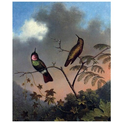      (Brazilian hummingbirds)    50. x 61. 2300