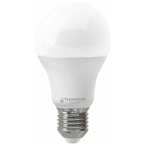  LED Thomson E27, , 17, 6500,  , TH-B2306,  . 790
