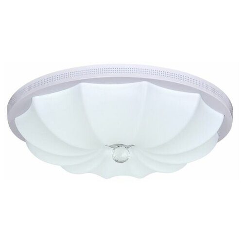    Escada 10231 10231/S LED,  5900  ESCADA