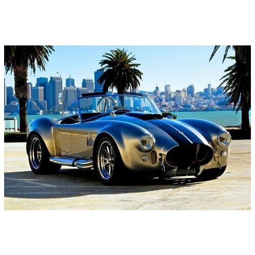      (Shelby cobra) 60. x 40. 1950