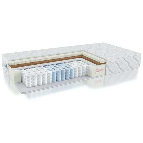 ������ Alitte Abillion One side medium Meloni TFK M-19-N 20363�