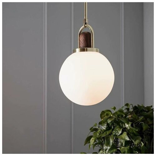   BULB, 30  8995