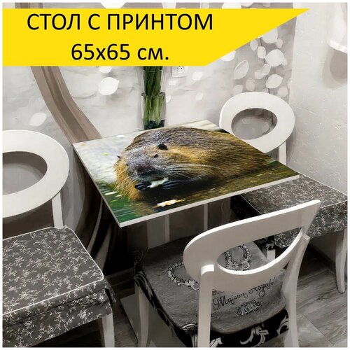 ���� 