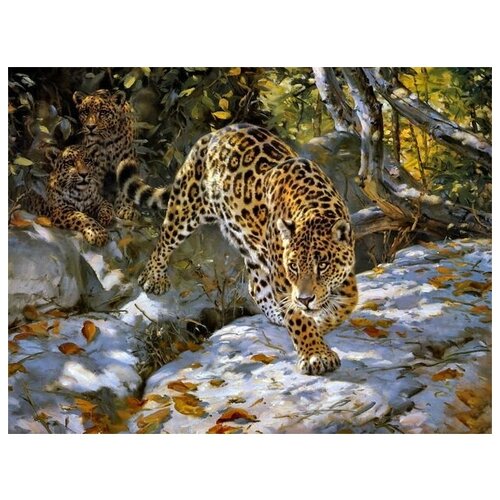     (Leopard) 4 66. x 50. 2420