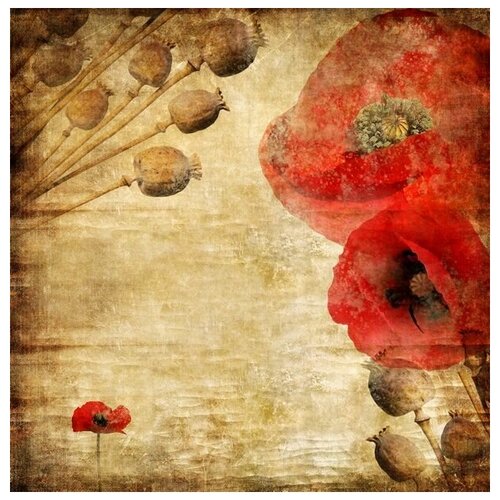     (Poppies) 33 30. x 30. 1000