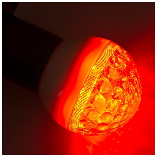    e27 9 LED O50  405-212 .,  565  NEON-NIGHT