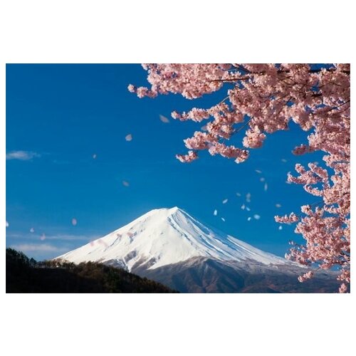        (Cherry blossoms in the mountains) 45. x 30. 1340