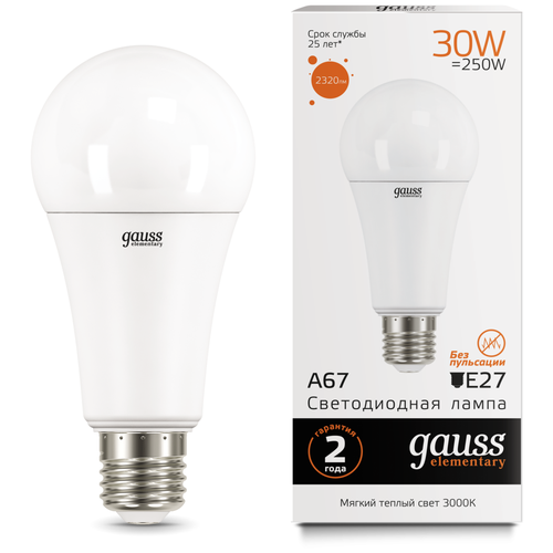   Gauss LED Elementary A67 30W E27 2320lm 3000K 590