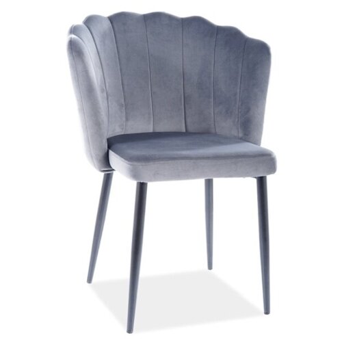 ���� SIGNAL ROKSANA VELVET, ����� ������ / ����� BL14 11370�