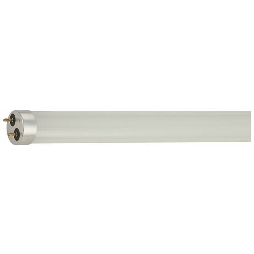 Gauss ����� Elementary T8 24W 2000lm 4000K G13 1200mm ������ LED 2 �� (���. 93024) 1171�