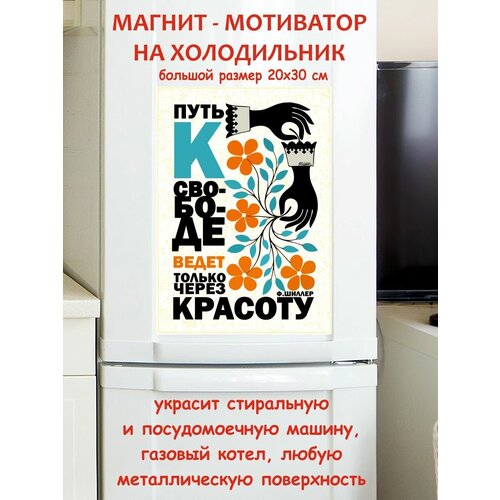 ���� � ������� ���� ������ ����� ������� ��������� ������ ������ �� ����������� 20 �� 30 �� 790�