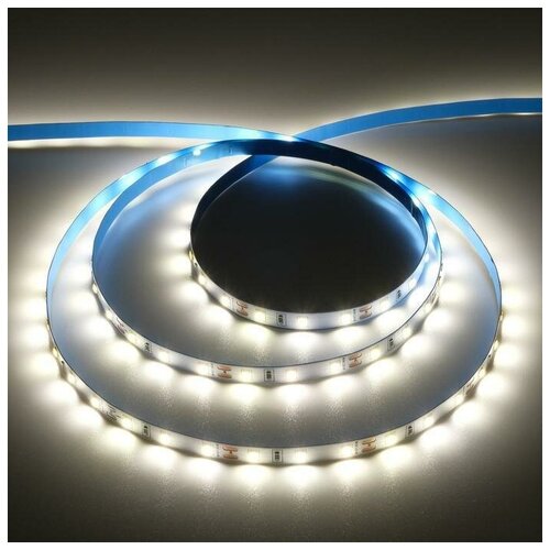   Ecola PRO 5 , IP20, SMD5060, 60 LED/, 11 /, 12 , 4200 650