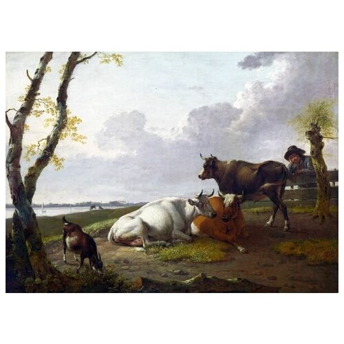     (Cattle)    69. x 50. 2530
