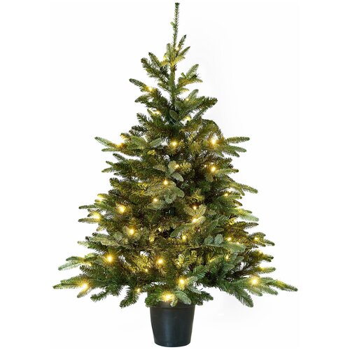   MORITZ 120  LED,  19563  Holiday Tree