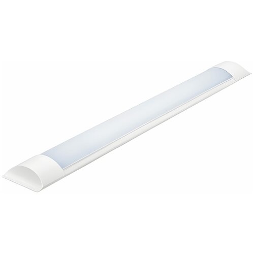 - / LE ECO LED 18W ( 20  )6500K 02 (SPO-208 NEOX) 591