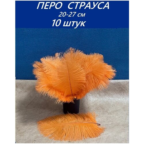 ���� ������� 20-27 �� 10 �� 800�