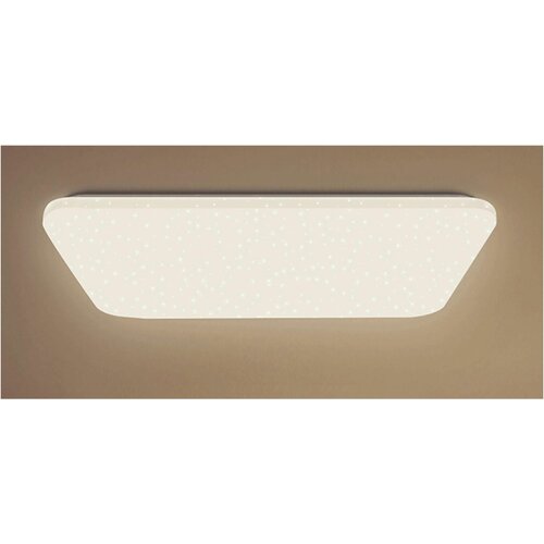    Xiaomi Yeelight A2001R900 Ceiling Light (YLXD033) 14130