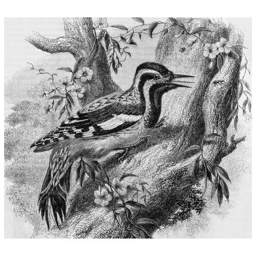       (Bird on a tree) 56. x 50. 2150