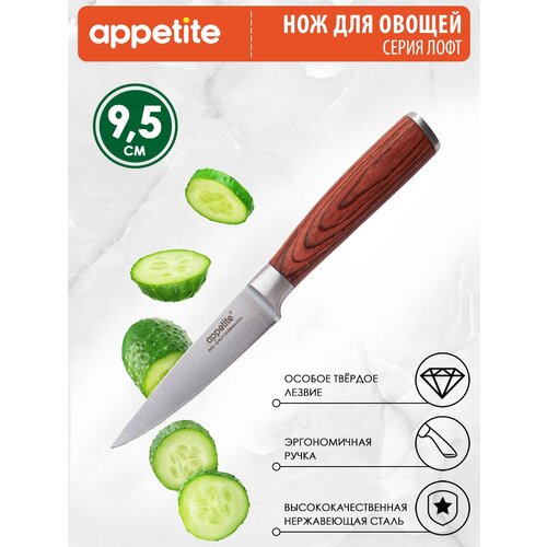 ��� Appetite ���� KF3038-6 - ����� ������ 95mm 375�