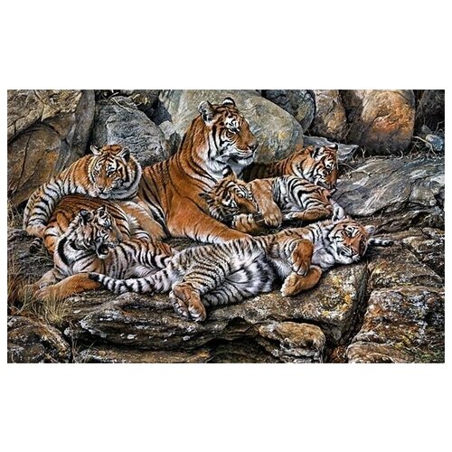     (Tigers) 1 48. x 30. 1410