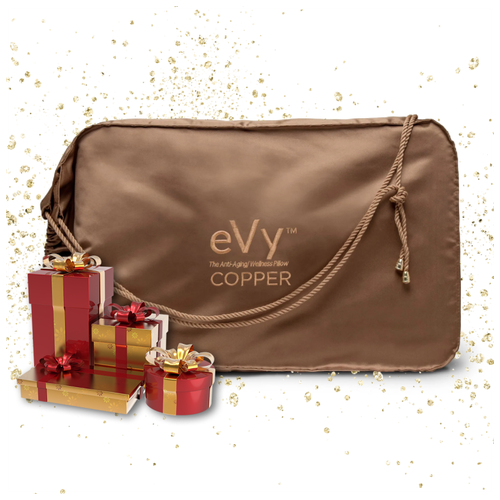    eVy Pillow   /       ,  14590  eVyPillow