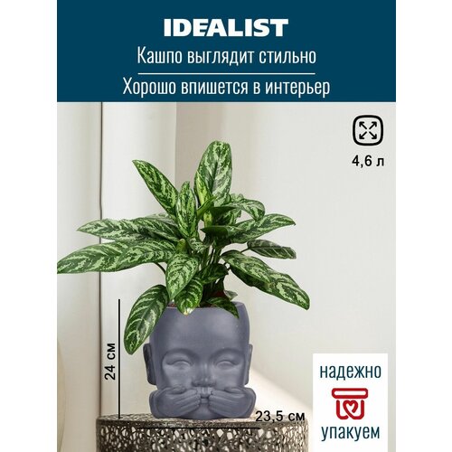    - IDEALIST Lite, , , 24,5 23,5 24 , 4,9 . 2900