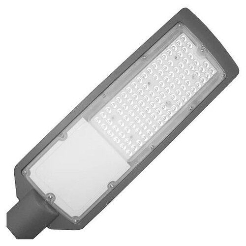     Foton Lighting FL-LED Street-Garden 70 4500   41012055 d46 IP65 220-240,  1809  Foton Lighting