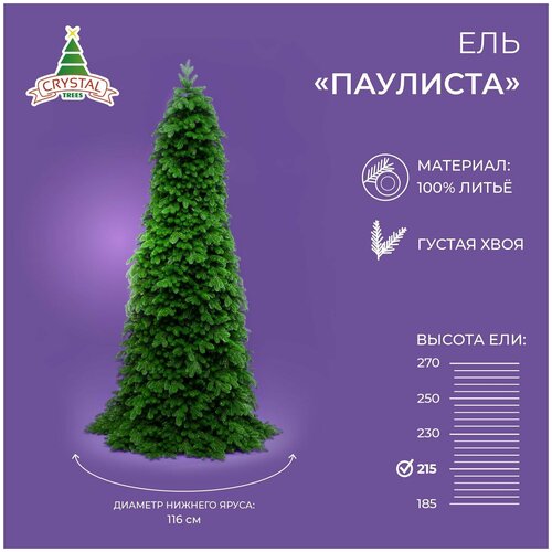      Crystal Trees  , 215 ,  24232  Crystal trees