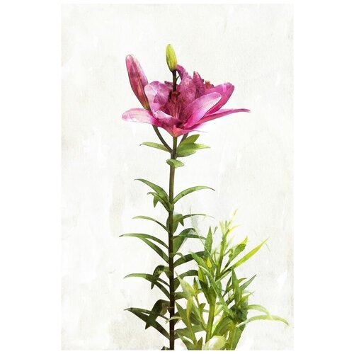      (Pink flower) 2 40. x 60. 1950