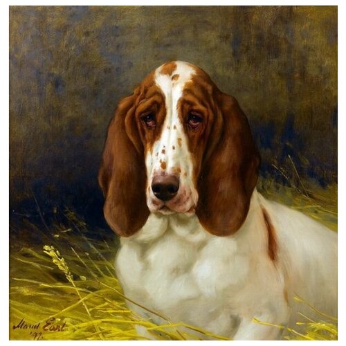     (Dog) 2 40. x 41. 1500