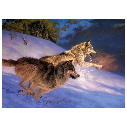 ������ �� ������ ����� (Wolves) �2 55��. x 40��. 1830�