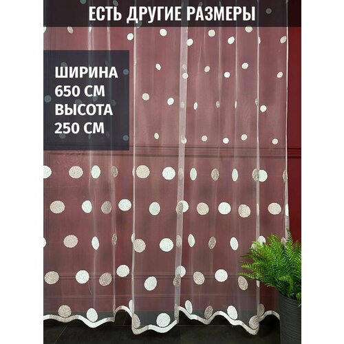 ���� �������, ����������, ������� ������, ������ 650x250 �� 5664�