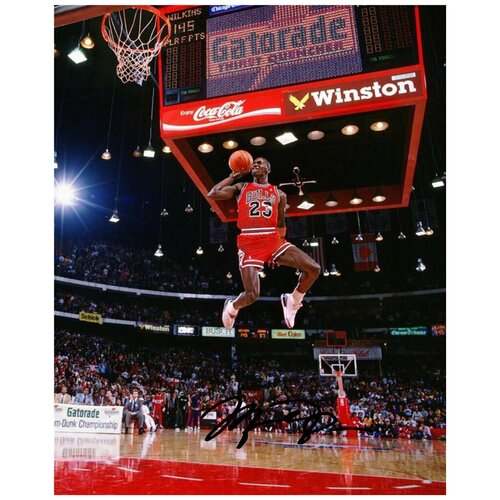       -  Michael Jordan Nba Bulls -   ,  ,  , , ,  2025  849