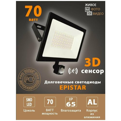    ,    LE LED FL IR BLACK IP65   2450