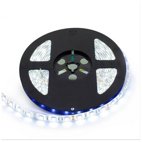   SMD5050-60LED--12V Double line 5. -  : 5500-6000K 2400