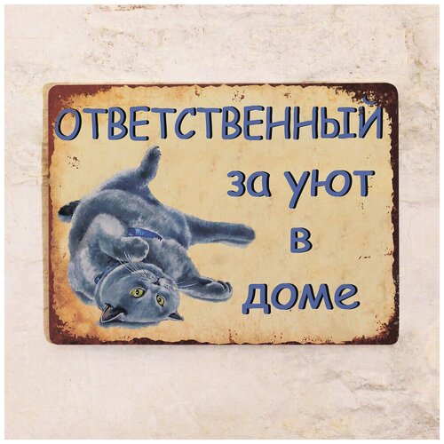 Металлическая табличка Ответственный за уют, металл, ,британский кот, подарок кошатнику 20х30 см 842р
