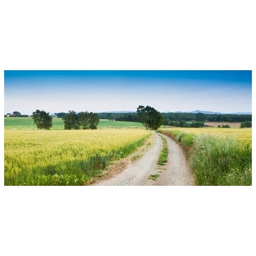       (Road in a field) 3 64. x 30. 1750